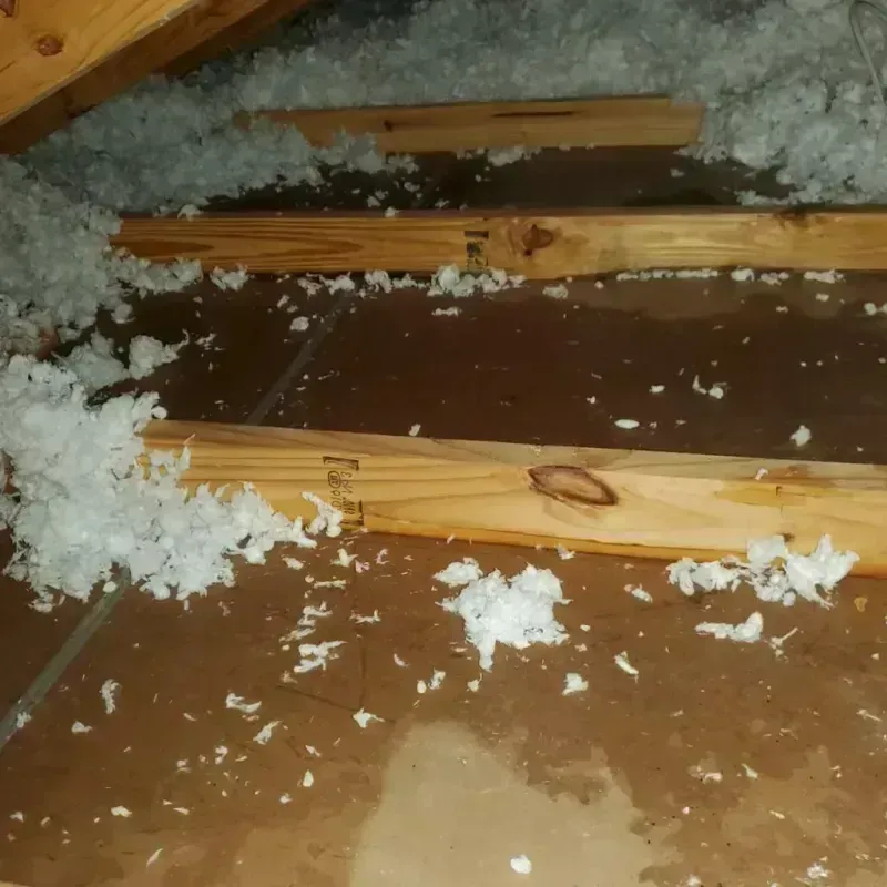 Attic Water Damage in Murphy, ID