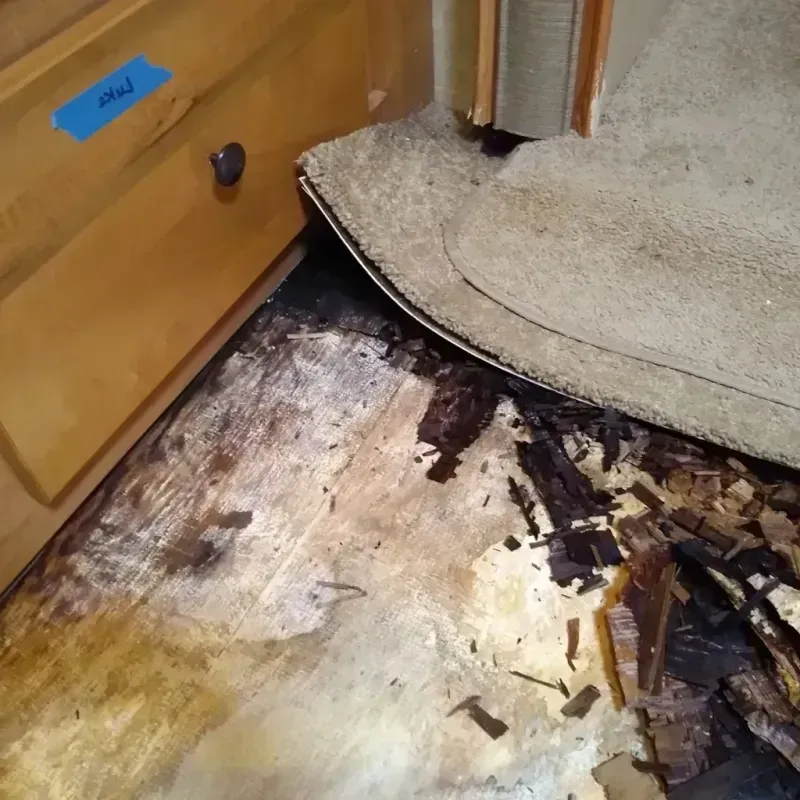 Wood Floor Water Damage in Murphy, ID